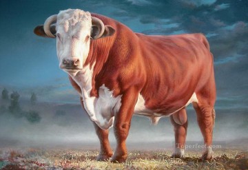 hereford bull Oil Paintings